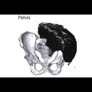 Meet your Posher, Ellishka